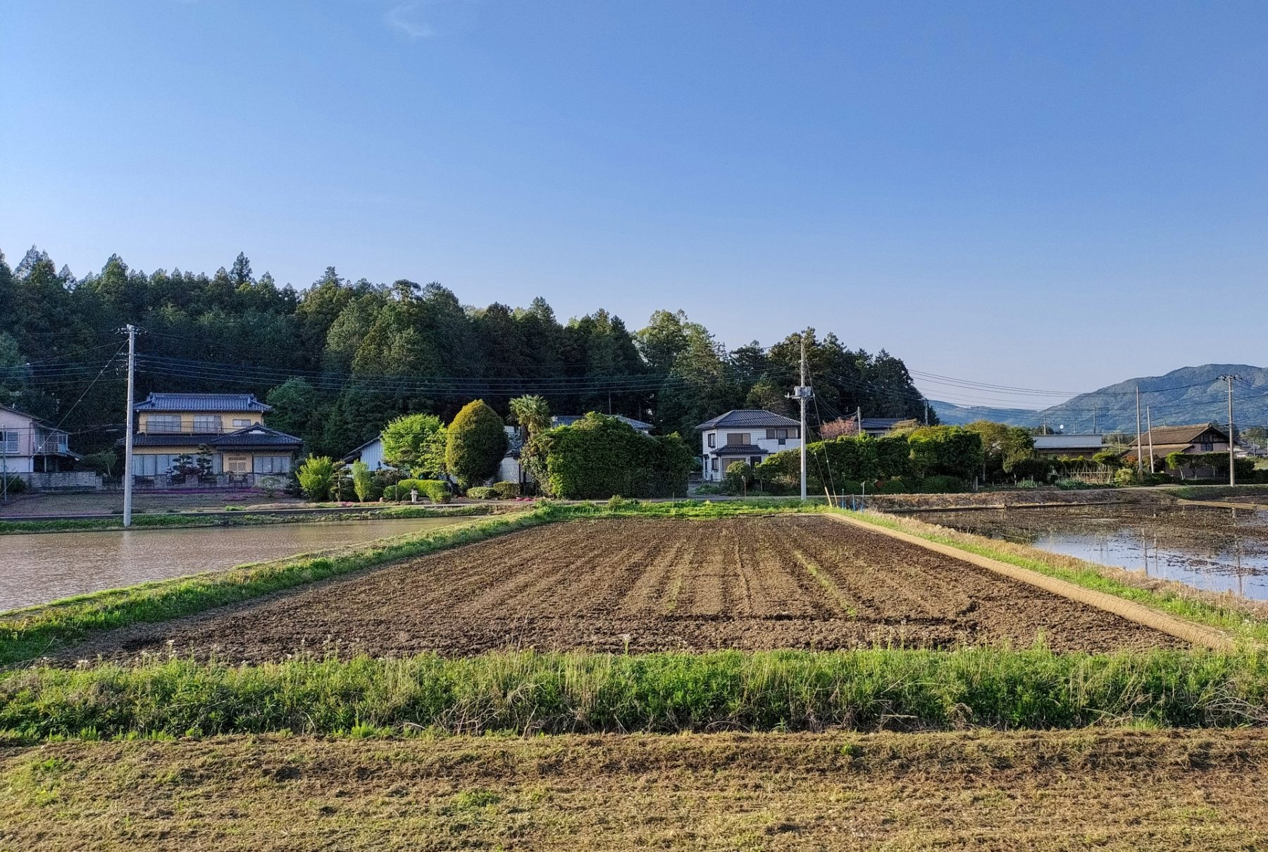 相続した“農地”とどう向き合うか？